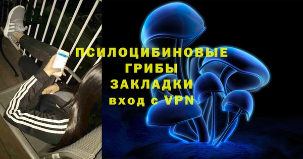ешки Алексин